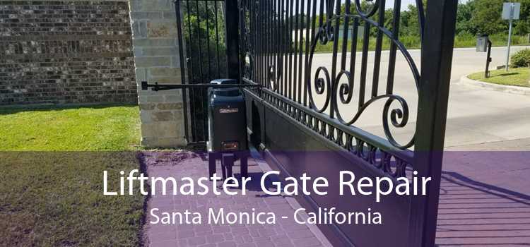 Liftmaster Gate Repair Santa Monica - California