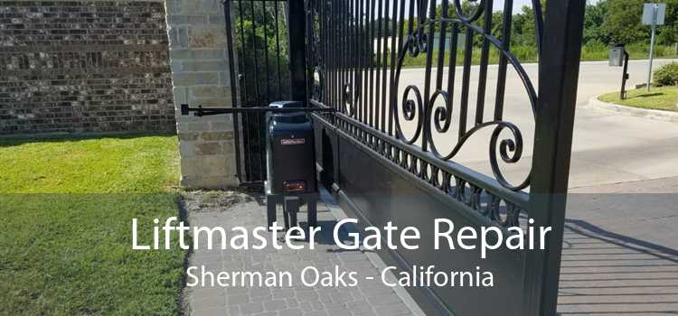 Liftmaster Gate Repair Sherman Oaks - California