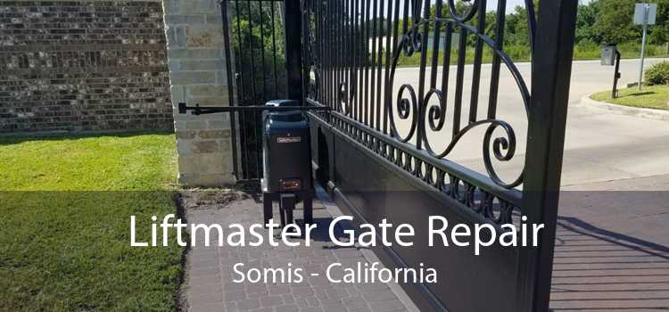 Liftmaster Gate Repair Somis - California