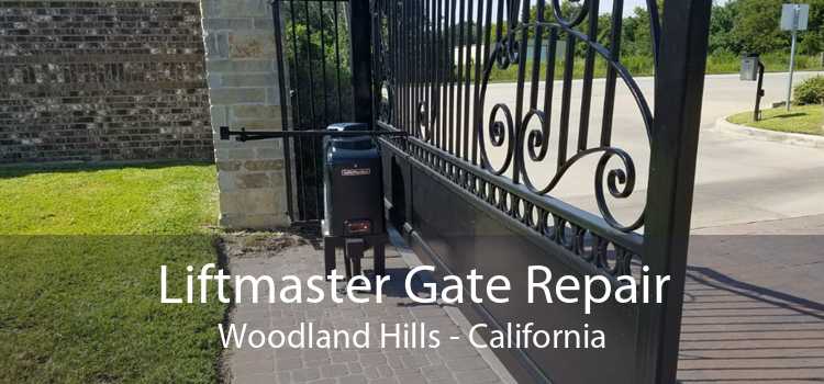 Liftmaster Gate Repair Woodland Hills - California