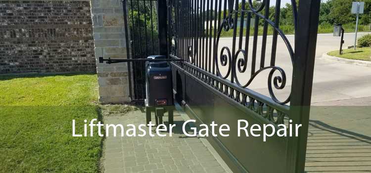 Liftmaster Gate Repair 