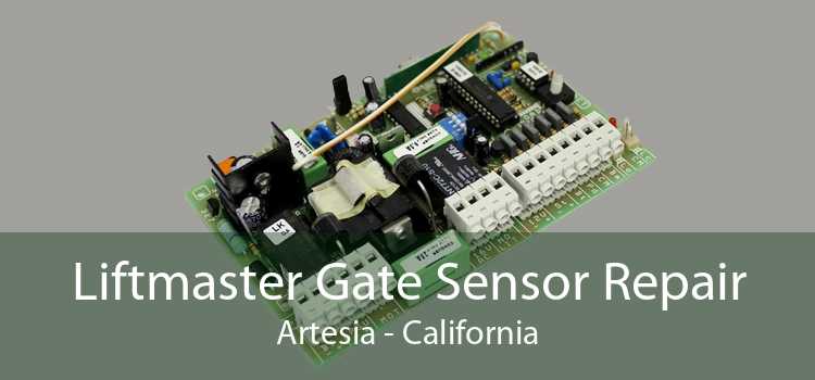 Liftmaster Gate Sensor Repair Artesia - California