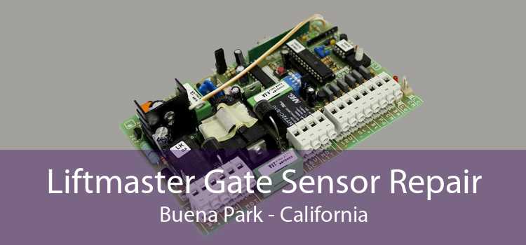 Liftmaster Gate Sensor Repair Buena Park - California