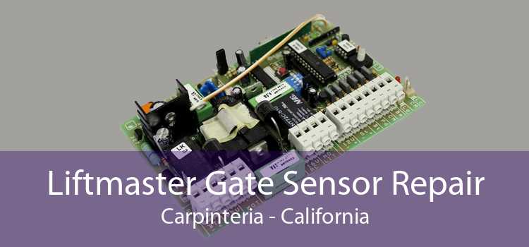 Liftmaster Gate Sensor Repair Carpinteria - California