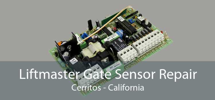 Liftmaster Gate Sensor Repair Cerritos - California