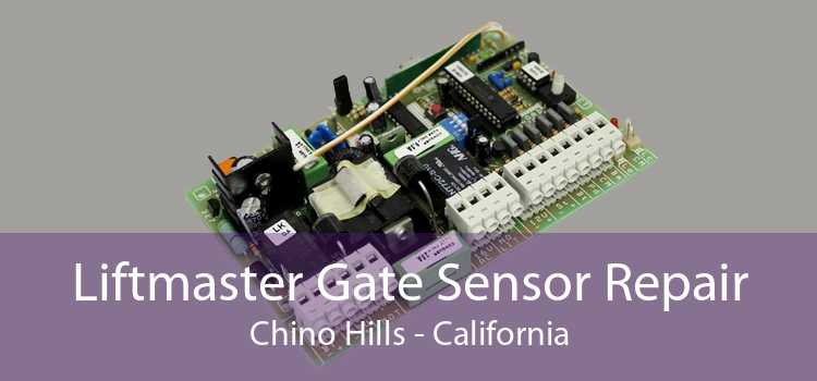 Liftmaster Gate Sensor Repair Chino Hills - California