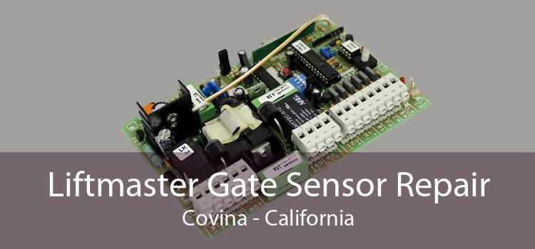 Liftmaster Gate Sensor Repair Covina - California