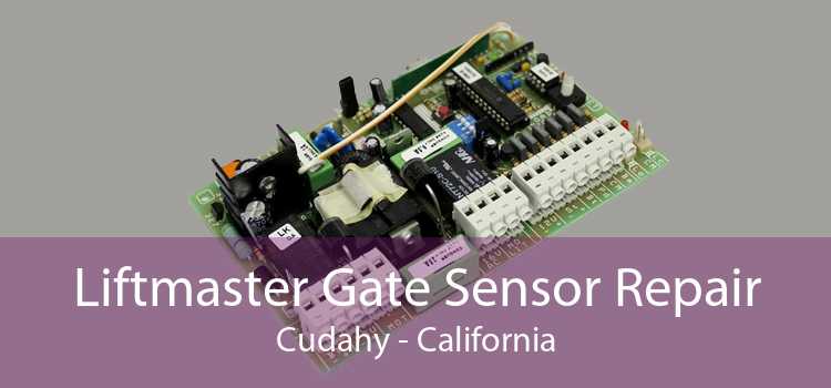 Liftmaster Gate Sensor Repair Cudahy - California