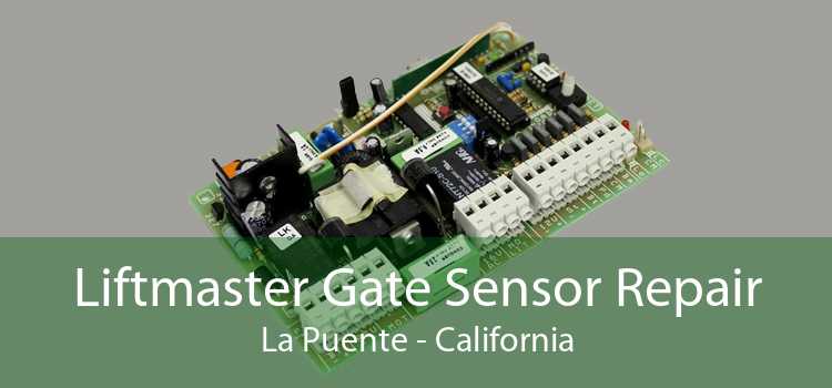 Liftmaster Gate Sensor Repair La Puente - California