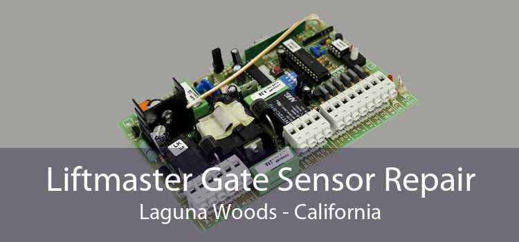 Liftmaster Gate Sensor Repair Laguna Woods - California