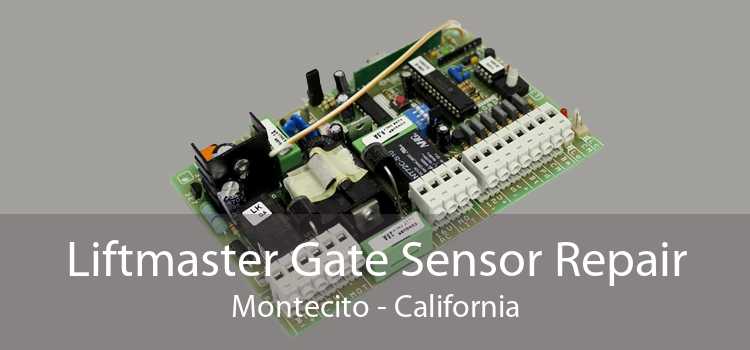 Liftmaster Gate Sensor Repair Montecito - California