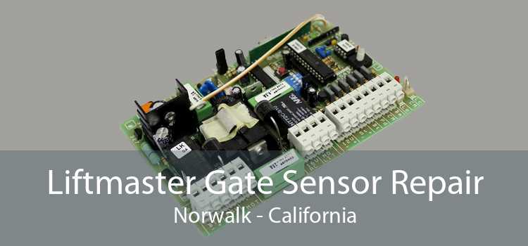 Liftmaster Gate Sensor Repair Norwalk - California