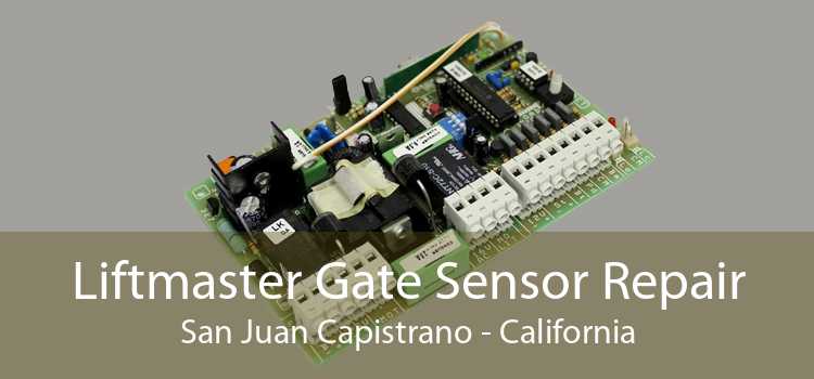 Liftmaster Gate Sensor Repair San Juan Capistrano - California