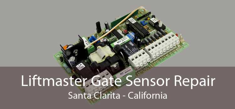 Liftmaster Gate Sensor Repair Santa Clarita - California