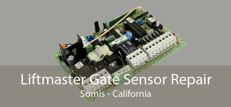Liftmaster Gate Sensor Repair Somis - California