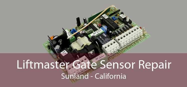Liftmaster Gate Sensor Repair Sunland - California