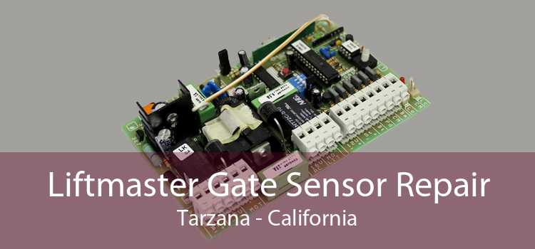 Liftmaster Gate Sensor Repair Tarzana - California