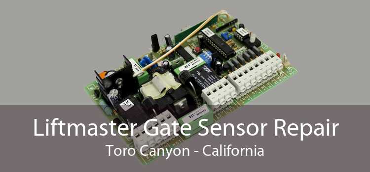Liftmaster Gate Sensor Repair Toro Canyon - California