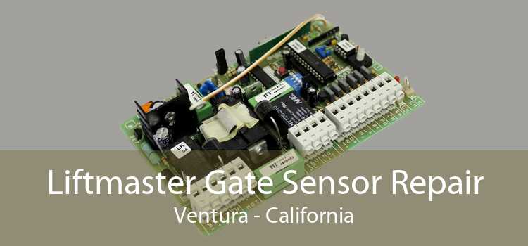 Liftmaster Gate Sensor Repair Ventura - California