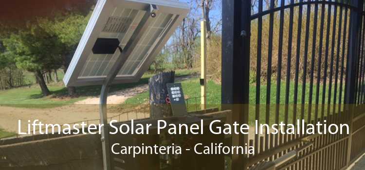 Liftmaster Solar Panel Gate Installation Carpinteria - California