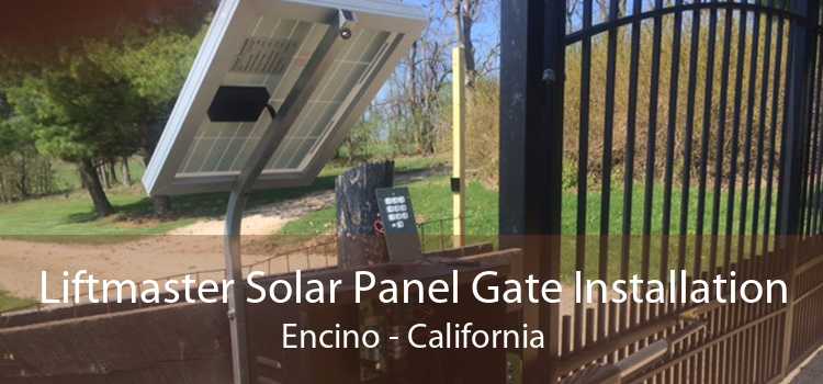 Liftmaster Solar Panel Gate Installation Encino - California