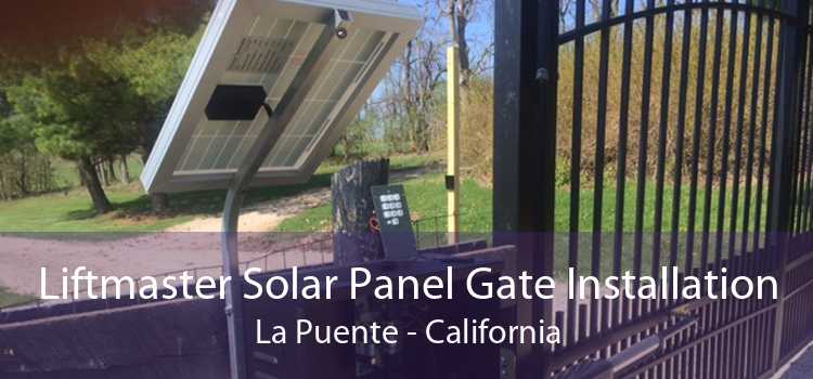 Liftmaster Solar Panel Gate Installation La Puente - California