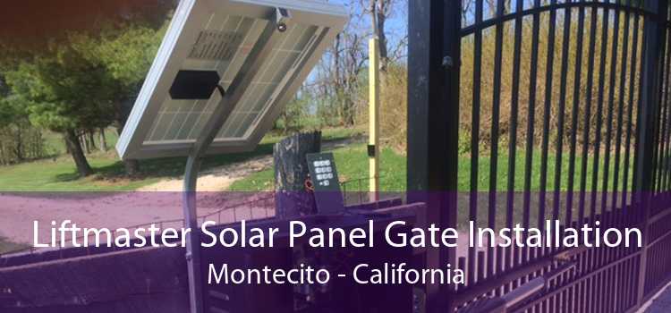 Liftmaster Solar Panel Gate Installation Montecito - California