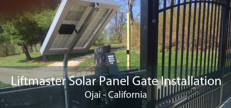 Liftmaster Solar Panel Gate Installation Ojai - California