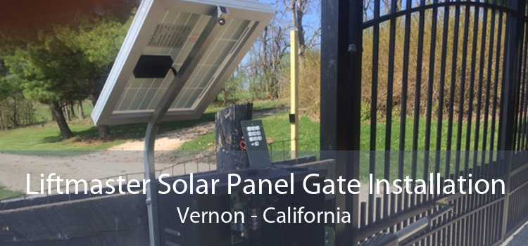 Liftmaster Solar Panel Gate Installation Vernon - California