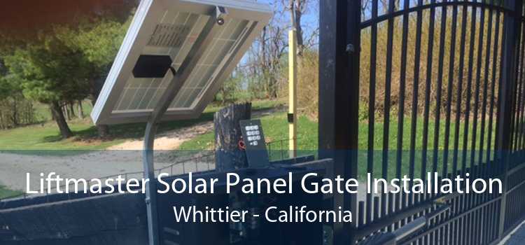 Liftmaster Solar Panel Gate Installation Whittier - California