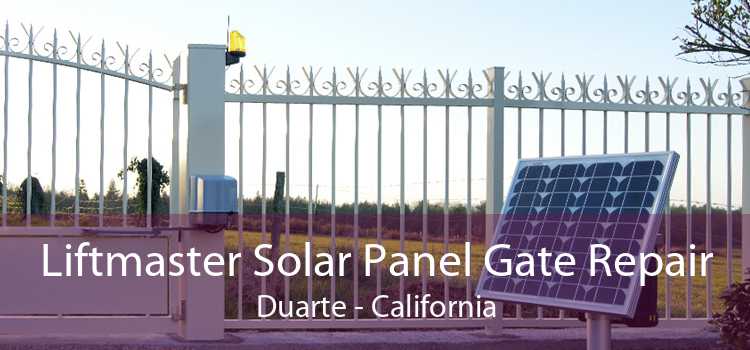 Liftmaster Solar Panel Gate Repair Duarte - California