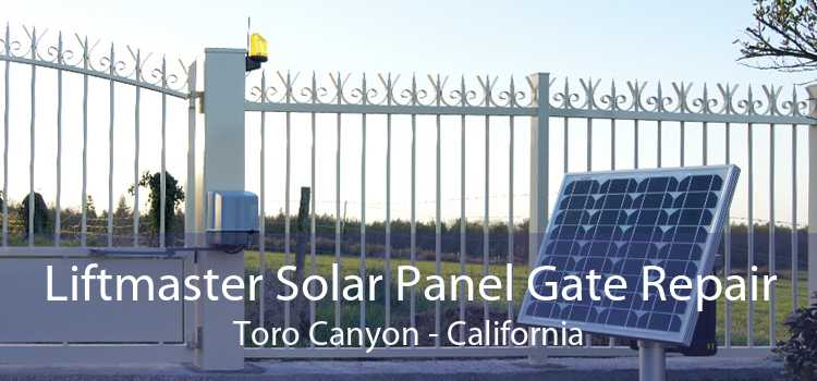 Liftmaster Solar Panel Gate Repair Toro Canyon - California