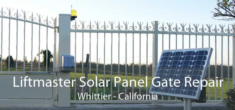 Liftmaster Solar Panel Gate Repair Whittier - California